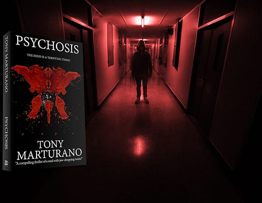 MY PSYCHOSIS BEYOND THE BOOK